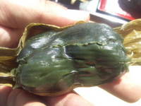 23f7ee36.jpg