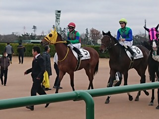 DSCPDC_0003_BURST20191221124007601_COVER