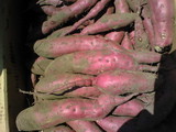 473e253f.jpg