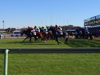 DSC_0015_BURST20231223122615663