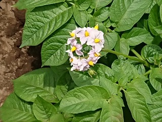 DSCPDC_0001_BURST20180526102308763
