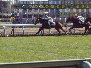 DSC_0012_BURST20231223122757959_COVER