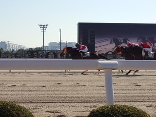 DSC_0003_BURST20231229120524378