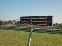 60810ac8.jpg