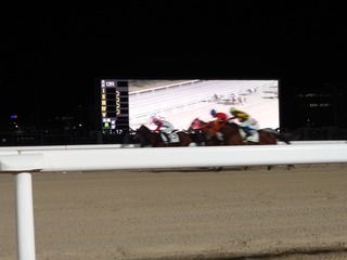 DSC_0005_BURST20231229174716159