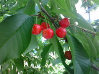 65e03bc6.jpg