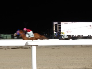 DSC_0021_BURST20231229174716159