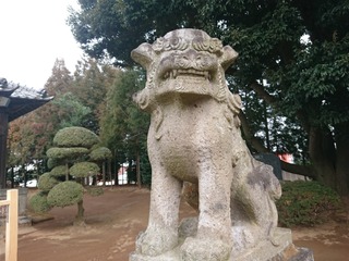 DSCPDC_0003_BURST20200125115404970_COVER