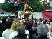 70f3c451.jpg