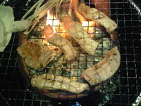 778c5dd6.jpg