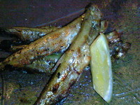 78f8471f.jpg