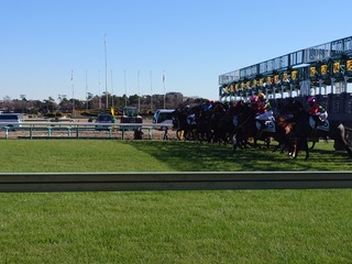 DSC_0006_BURST20231223122615663