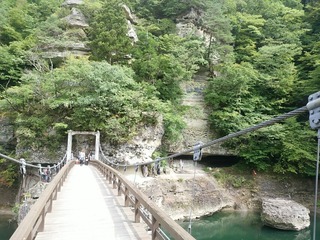 [����:8bb7b832-s.jpg]