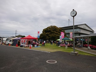 DSC_4446