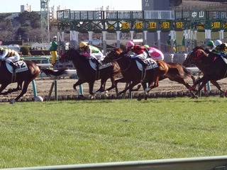 DSC_0015_BURST20231223122757959