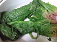 9abdb6f2.jpg