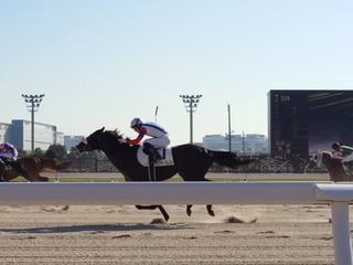 DSC_0015_BURST20231229120524378