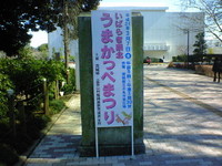 ac08b119.jpg