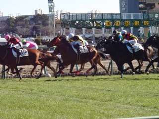 DSC_0018_BURST20231223122757959