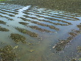 ba608363.jpg