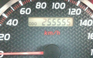 [����:cbee0a30-s.jpg]