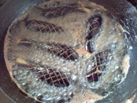 e4d7239f.jpg