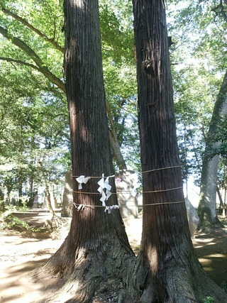 [����:e5f443e3-s.jpg]