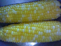e8491b6c.jpg