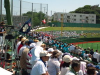 f388032e.jpg