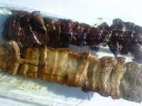 fc2f0971.jpg