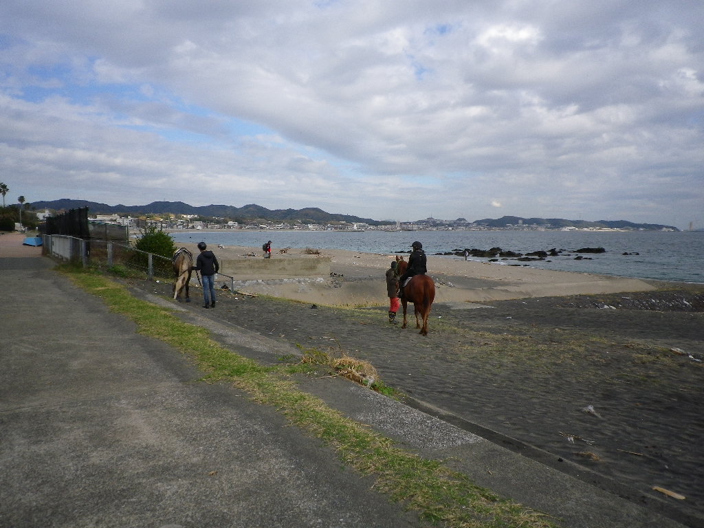 三浦暮らし フットボールくまの旅