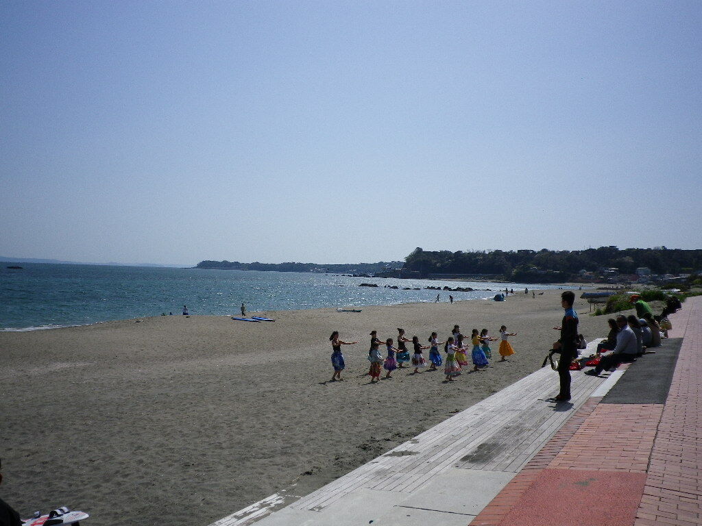 三浦暮らし フットボールくまの旅 三浦暮らし フットボールくまの旅