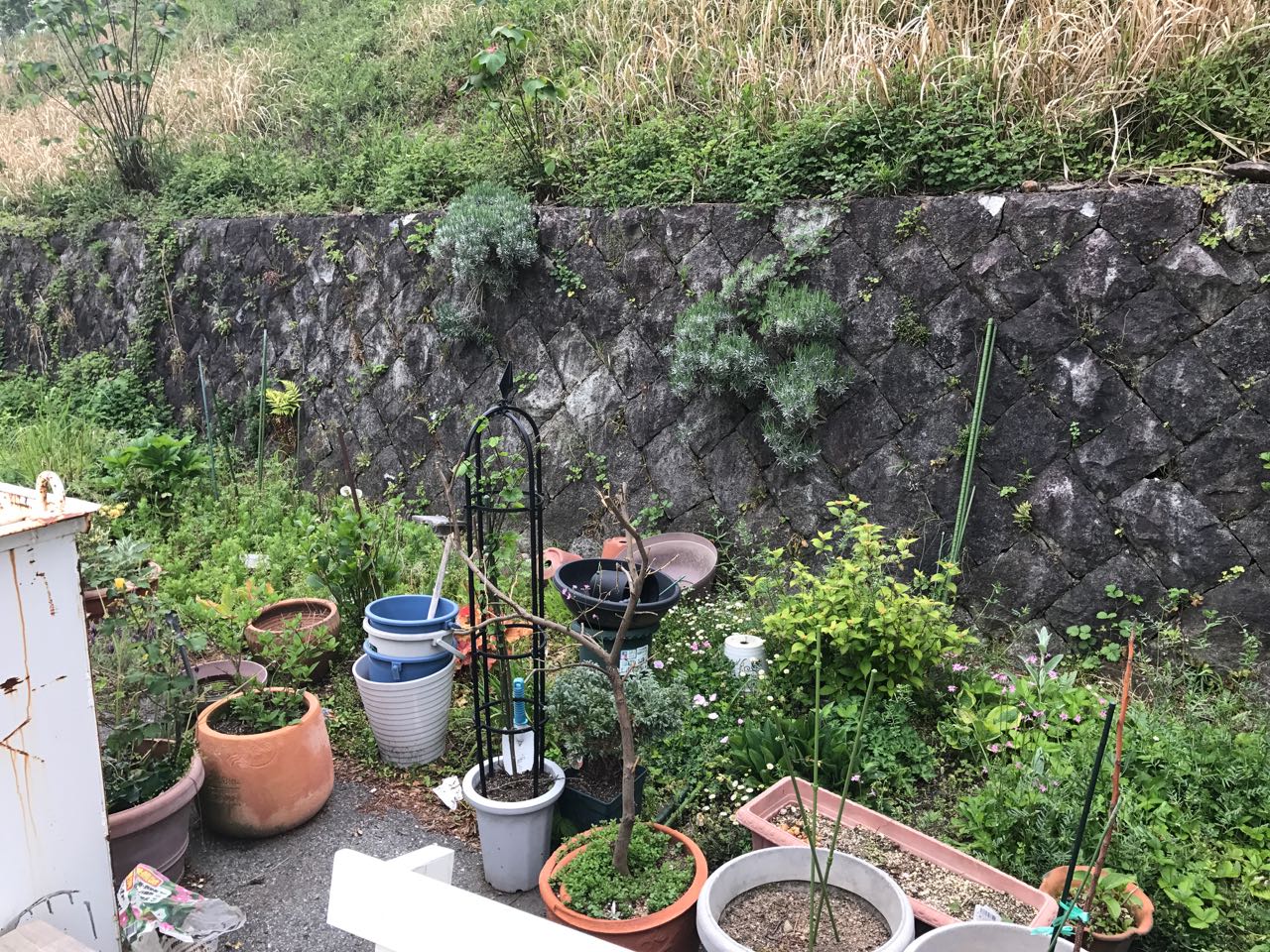 お客様の庭完成 Footpath ブログ