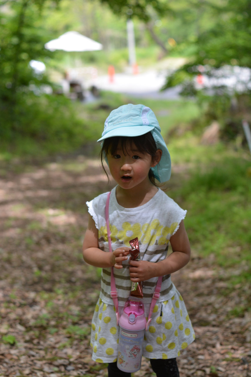 小諸ツリーハウスプロジェクト森のいきものがたり すとらんどひゅーまん風まかせ 小諸ツリーハウスプロジェクト森のいきものがたり すとらんどひゅーまん風まかせ