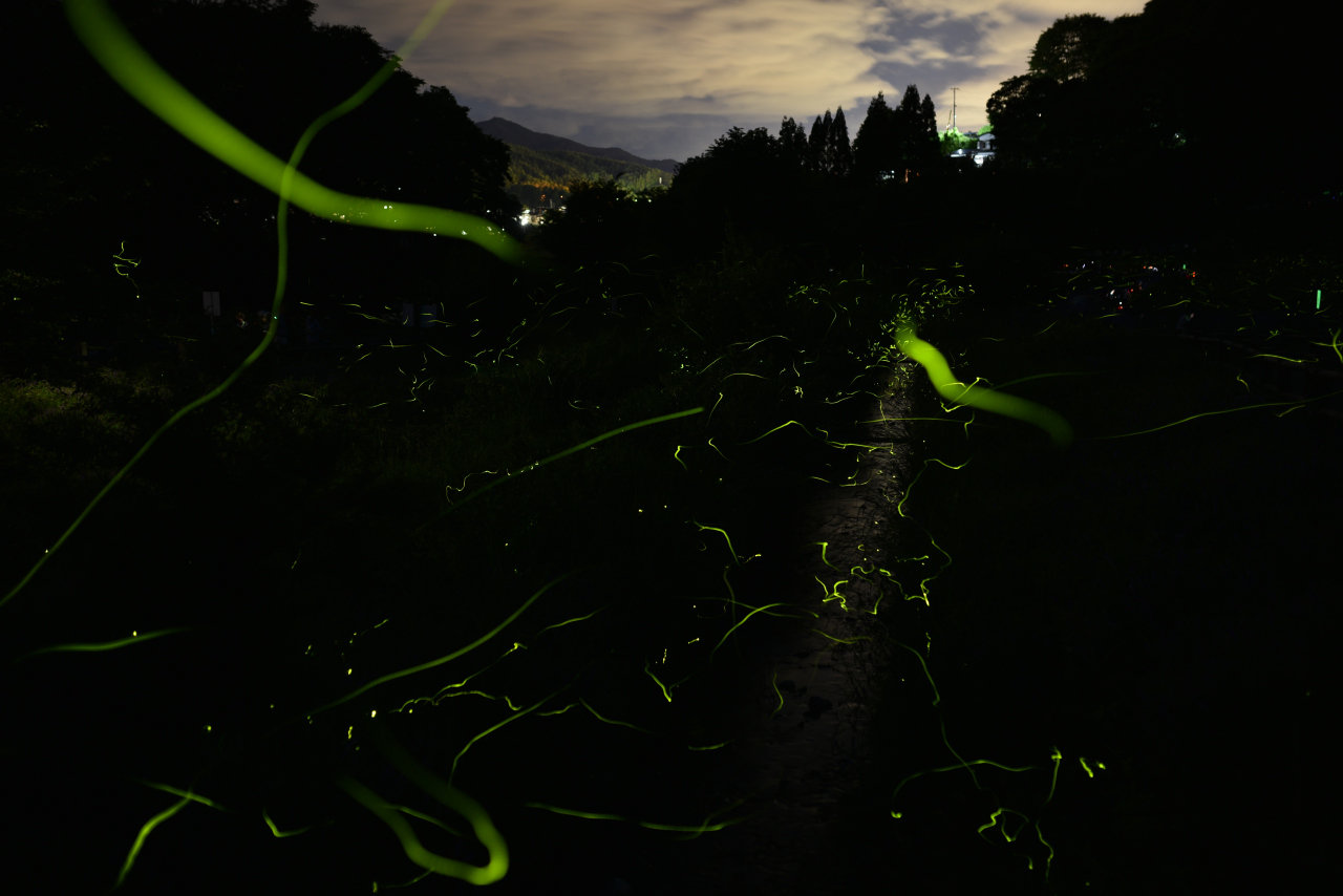 辰野ほたる童謡公園 信州辰野ほたる祭り直前 すとらんどひゅーまん風まかせ