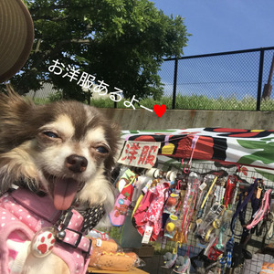 フリマもも1