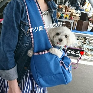 CollageMaker_20190421_172630058