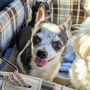 GridArt_20231208_223005595