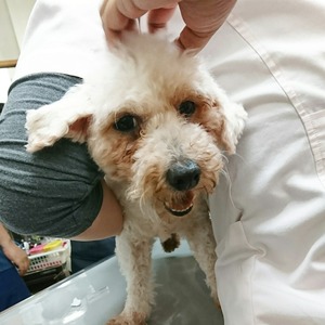 CollageMaker_20191025_234925024