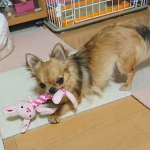 よつば7