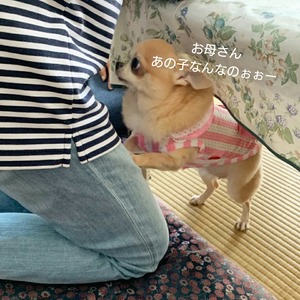 CollageMaker_20190901_224840766