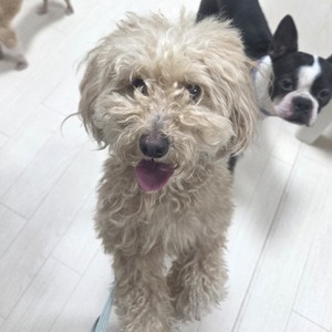 26-04-07-21-03-45-051_deco