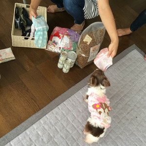 ももお届け2