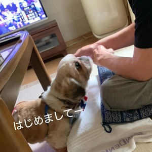 CollageMaker_20190829_152519328