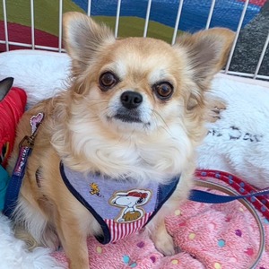 GridArt_20240105_224609810