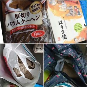 CollageMaker_20190421_171624185