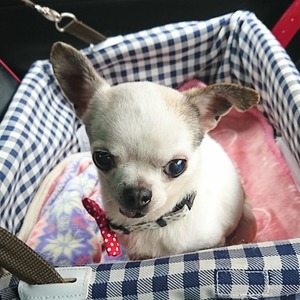 ぬく