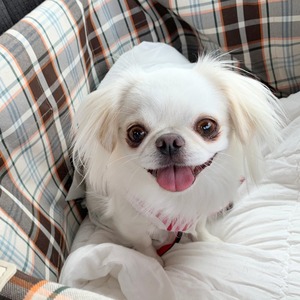 GridArt_20240715_191103441