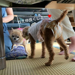 CollageMaker_20190901_225100915