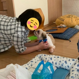 CollageMaker_20190829_153226370